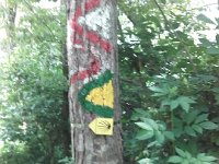 IMG-20160528-WA0006  immer den Wegweisern nach