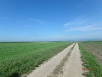 P5280190  so weit, weit weg