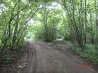 P5280197  welchen nehmen denn wir....