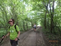 P5280198  ...natürlich den richtigen