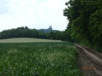 P5280199  schon sehr nahe