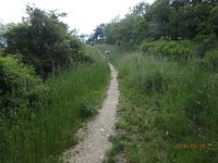 P5280200  der Anstieg auf dem Buschberg