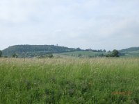 P5290219  und Blick nach vor