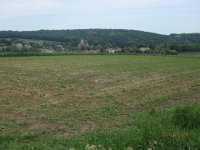 P5290242  wir sichten bereits Ernstbrunn